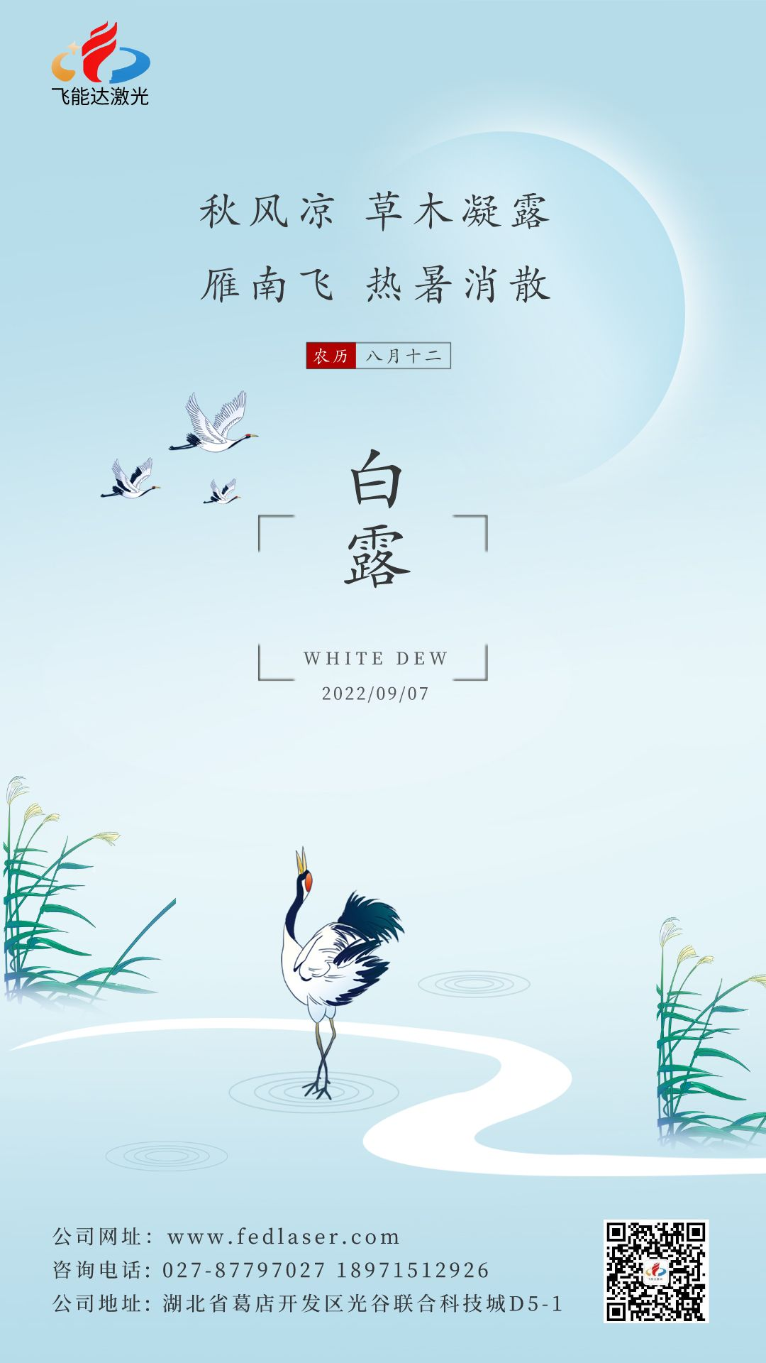 清新簡約二十四節(jié)氣白露宣傳海報.png